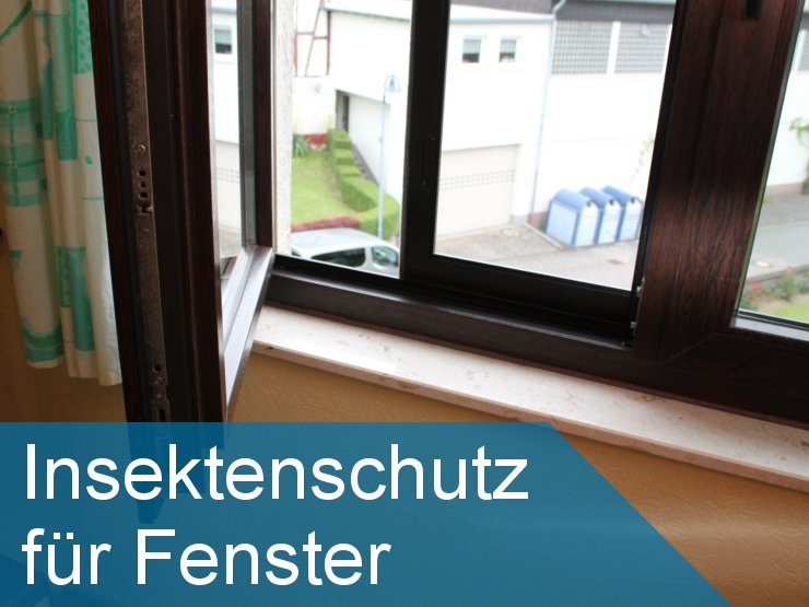 Insektenschutz für Fenster