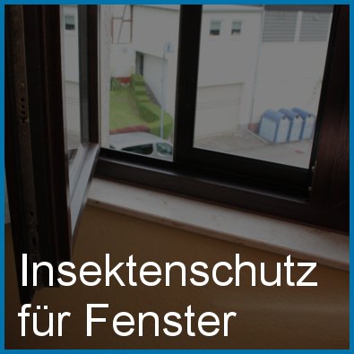 Insektenschutz für Fenster