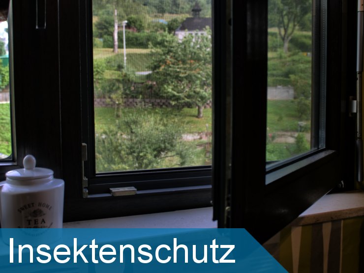 Sonnenschutz mit effektivem Insektenschutz kombinieren